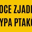 Rozporządzenie nr 3/2026 Powiatowego Lekarza Weterynarii w Kutnie z dnia 20 kwietnia 2026 r. uchylające rozporządzenie w sprawie zwalczania wysoce zjadliwej grypy ptaków (HPAI) na terenie powiatu kutnowskiego oraz rozporządzenie nr 4/2026 Powiatowego Lekarza Weterynarii w Kutnie z dnia 20 kwietnia 2026 r. w sprawie zwalczania wysoce zjadliwej grypy ptaków (HPAI) na terenie powiatu kutnowskiego. Część obszaru zagrożonego z ogniska 77/2026/HPAI oraz obszaru zapowietrzonego i zagrożonego z ogniska 84/2026/HPAI zlokalizowana jest w województwie łódzkim, powiecie kutnowskim.