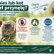 📣 WAŻNA INFORMACJA DLA WŁAŚCICIELI PSÓW I KOTÓW 🐕🐈